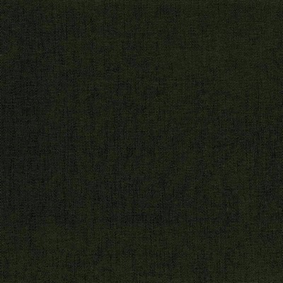 Kasmir Pinnacle Moss in 5046 Green Upholstery Polyester  Blend Fire Rated Fabric Traditional Chenille   Fabric