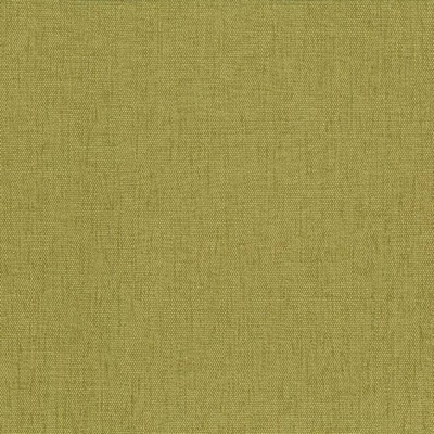 Kasmir Pinnacle Palm in 5046 Green Upholstery Polyester  Blend Fire Rated Fabric Traditional Chenille   Fabric