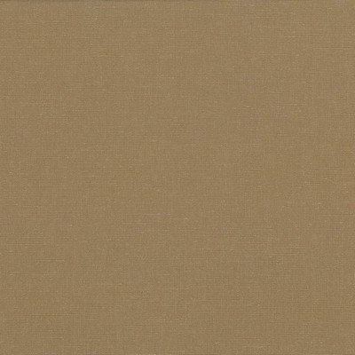 Kasmir Pirouette Cafe in 5054 Brown Upholstery Polyester  Blend Fire Rated Fabric