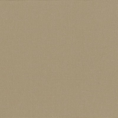 Kasmir Pirouette Cement in 5054 Brown Upholstery Polyester  Blend Fire Rated Fabric