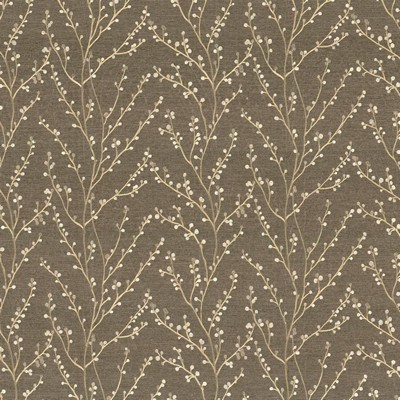 Kasmir Plum Grove Thunder in 1438 Brown Upholstery Rayon  Blend Fire Rated Fabric Crewel and Embroidered  Vine and Flower   Fabric