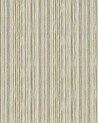 Primola Lemongrass by  Kasmir 