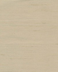 Princess Khaki by  Kasmir 