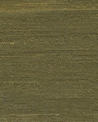 Principe Bayleaf by  Kasmir 