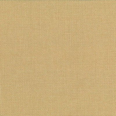Kasmir Quartet Texture Gold in 5041 Gold Upholstery Polyester  Blend
