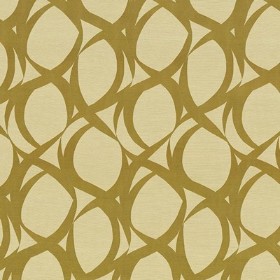 Kasmir Ravello Meadow in 1428 Multi Polyester  Blend Geometric  Scroll   Fabric