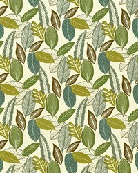 Ravenwood Bluegrass by   