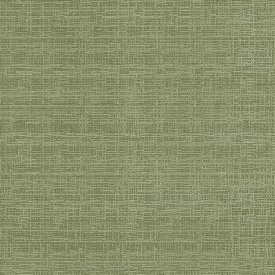 Kasmir Regis Apple in 5099 Green Upholstery Polyester  Blend Fire Rated Fabric Traditional Chenille   Fabric