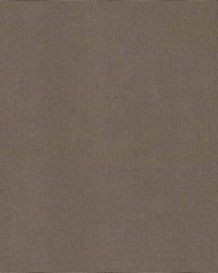 Reine Safari Brown by  Kasmir 