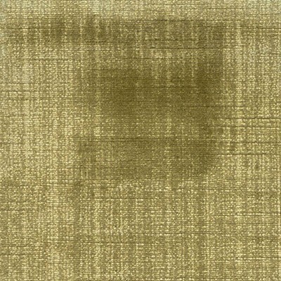 Kasmir Rembrandt Peridot in 1422 Multi Upholstery Rayon  Blend Fire Rated Fabric