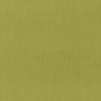 Kasmir Rockefeller Palm in 1446 Green Upholstery Viscose  Blend Herringbone   Fabric