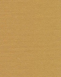 Royalton Camel by  Kasmir 