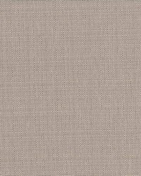 Rumba Taupe by   