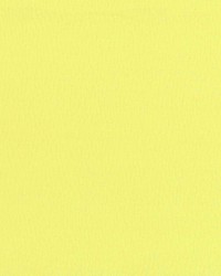 Saint Honore Citron by  Kasmir 