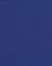 Saint Honore Cobalt by  Kasmir 