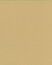 Saint Honore Cookie by  Kasmir 