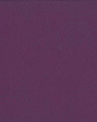 Saint Honore Dewberry by  Kasmir 