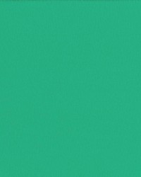 Saint Honore Emerald by  Kasmir 