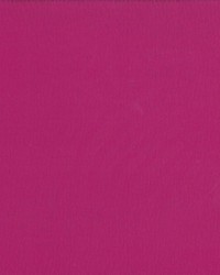 Saint Honore Fuchsia by  Kasmir 