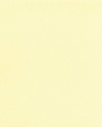 Saint Honore Glaze by  Kasmir 