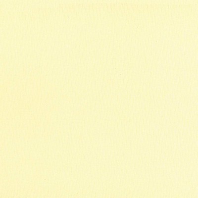 Kasmir Saint Honore Glaze in 5056 White Upholstery Polyester  Blend Fire Rated Fabric