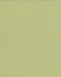 Saint Honore Lemon Grass by  Kasmir 