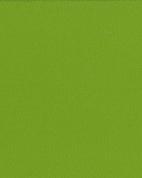 Saint Honore Orchard by  Kasmir 