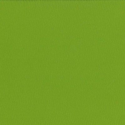Kasmir Saint Honore Orchard in 5056 Light Green Upholstery Polyester  Blend Fire Rated Fabric