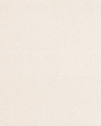 Saint Honore Oyster by  Kasmir 