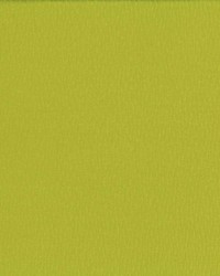 Saint Honore Pea by  Kasmir 