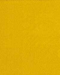 Saint Honore Sunshine by  Kasmir 