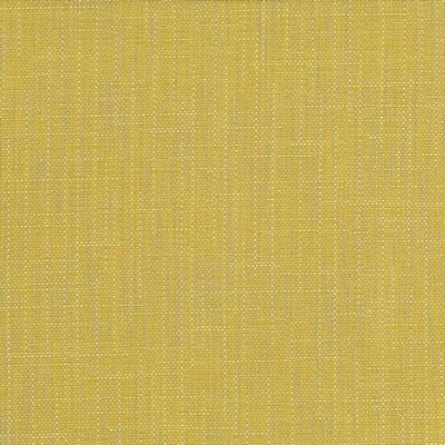 Kasmir San Carlos Citrine in 5050 Green Upholstery Polyester  Blend Fire Rated Fabric NFPA 701 Flame Retardant   Fabric