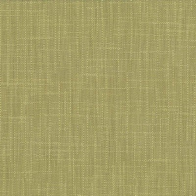 Kasmir San Carlos Moss in 5050 Green Upholstery Polyester  Blend Fire Rated Fabric NFPA 701 Flame Retardant   Fabric