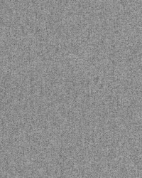 Sanderling Pearl Grey by   