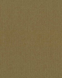 Sanderling Saffron by   