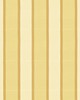 Kasmir SANDINO STRIPE CHAMPAGNE