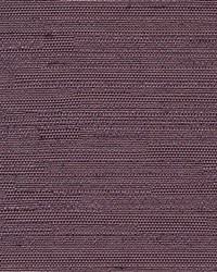 Santorini Black Plum by  Kasmir 