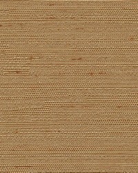 Santorini Camel by  Kasmir 