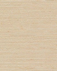 Santorini Champagne by  Kasmir 