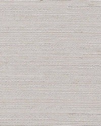 Santorini Dove by  Kasmir 