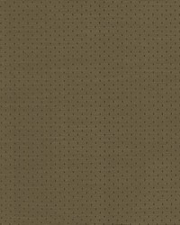 Scruple Cocoa by  Kasmir 