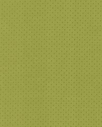 Scruple Lime by  Kasmir 