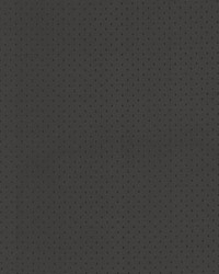 Scruple Mocha by  Kasmir 