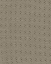 Scruple Slate by  Kasmir 