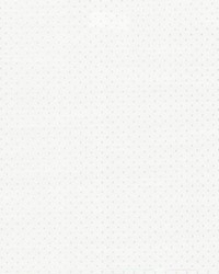 Scruple White by  Kasmir 