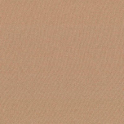 Kasmir Seductive Pecan in 5052 Brown Upholstery Polyester  Blend Fire Rated Fabric NFPA 701 Flame Retardant   Fabric
