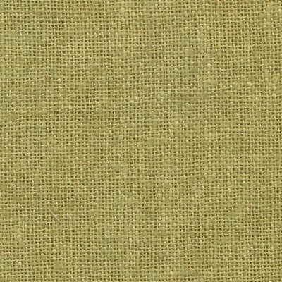 Kasmir Shangri La Kiwi in TUEXDO PARK Green Silk  Blend Solid Silk   Fabric