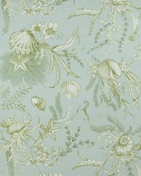 Shorecrest Seaspray by   