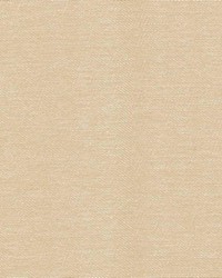 Sonata Bisque by  Kasmir 