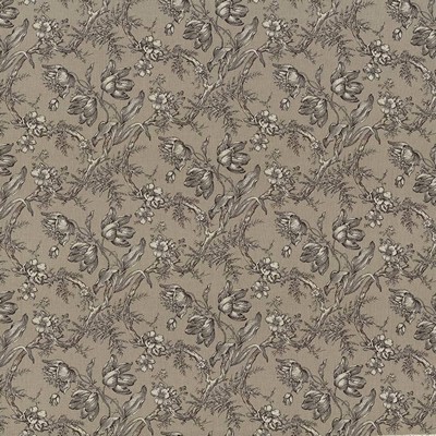 Kasmir Southwood Thunder in 5078 Brown Upholstery Cotton  Blend Fire Rated Fabric